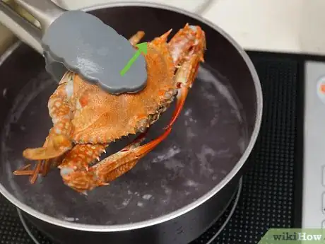 Image titled Cook a Crab Step 12