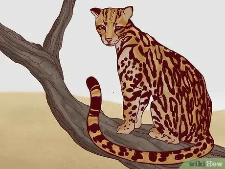 Image titled Identify Feline Species by Fur Step 6