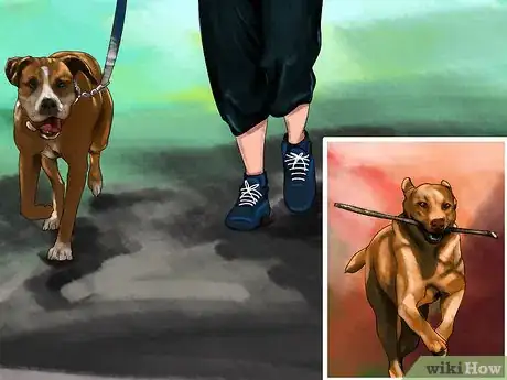 Image titled Keep Your Dog Away from Halloween Candy Step 11