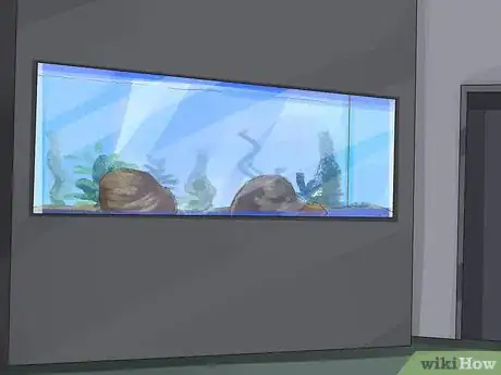 Image titled Start a Saltwater Aquarium Step 11