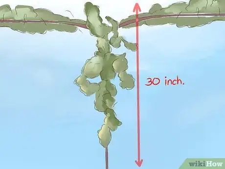 Image titled Prune Grape Vines Step 5