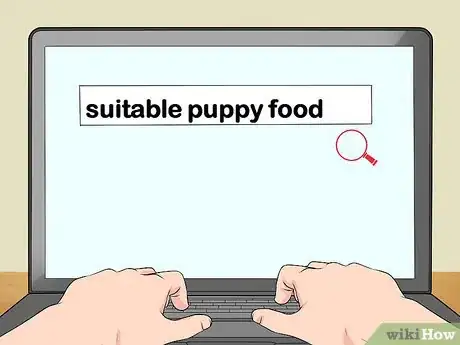 Image titled Look After Your First Puppy Step 2