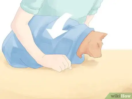 Image titled Save a Choking Cat Step 7