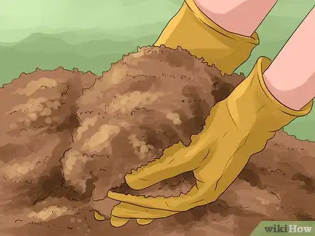 Image titled Grow Roses Organically Step 4