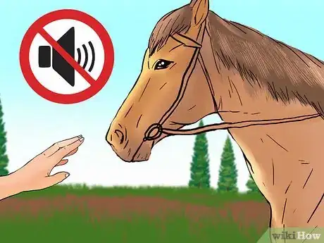 Image titled Care for a Blind Horse Step 8