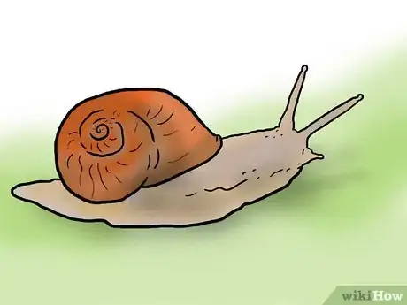 Image titled Appreciate the World and Nature Around You Step 2