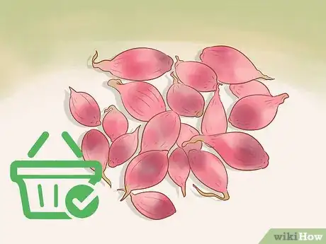 Image titled Grow Red Onions Step 4