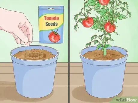 Image titled Grow Vegetables Indoors Step 10