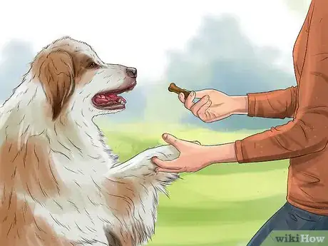 Image titled Prepare Your Dog for the Vet Step 2