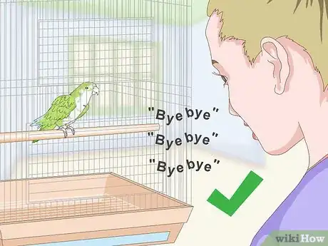 Image titled Teach a Quaker Parrot to Speak Step 3