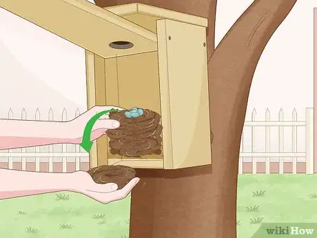 Image titled Attract Eastern Bluebirds Step 6