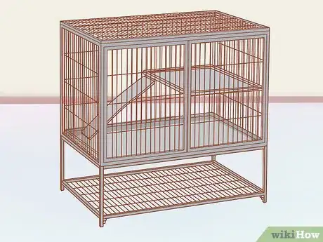 Image titled Neuter Your Guinea Pig Step 13