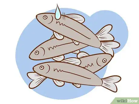 Image titled Catch a Crappie Step 7