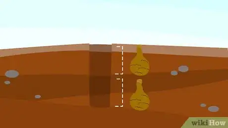 Image titled Plant Spring Bulbs Step 6