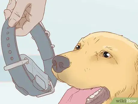 Image titled Use a Pager Collar Step 5