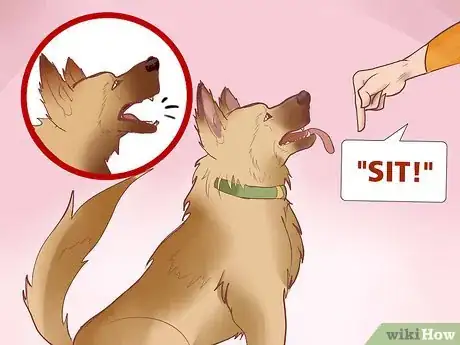 Image titled Find a Good Guard Dog Step 16