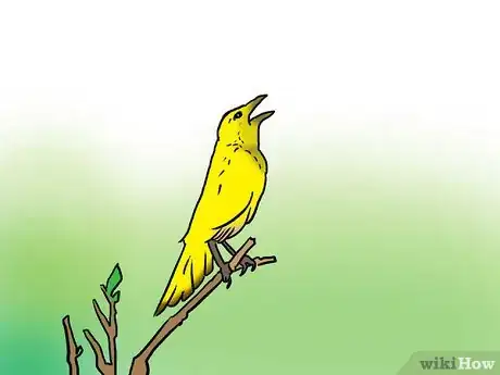 Image titled Appreciate the World and Nature Around You Step 1