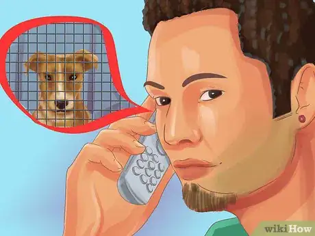 Image titled Adopt a Terrier Step 1