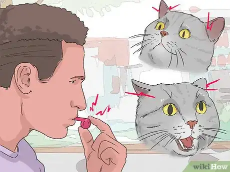 Image titled Prevent Fights Between Cats Step 6