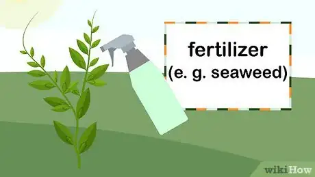 Image titled Grow Vietnamese Mint Step 6