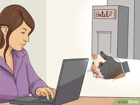 Image titled Travel With a Small Pet Step 4