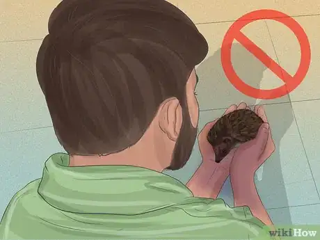 Image titled Tame a Hedgehog Step 8