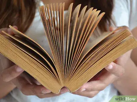 Image titled Care for 10 or More Stuffed Animals Step 10