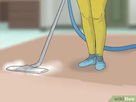 Image titled Eliminate Skunk Odor Step 19