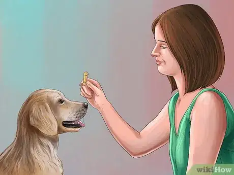 Image titled Care for a Rescued Dog Step 7