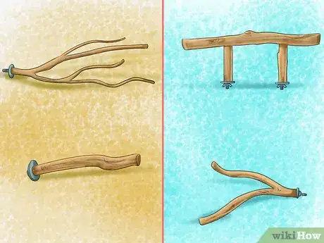 Image titled Care for a Pacific Parrotlet Step 4