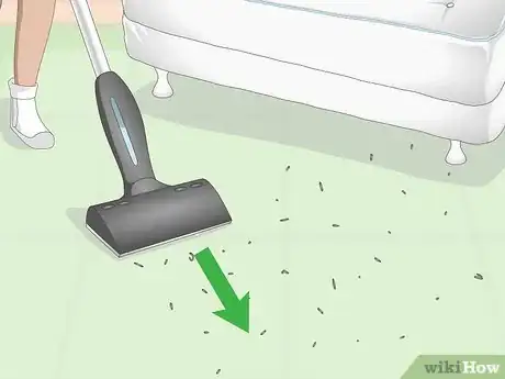 Image titled Clean up a Big Mess Step 5