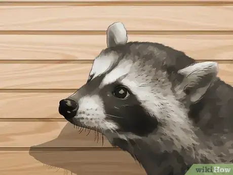 Image titled Get Rid of Raccoons in Your Attic Step 1