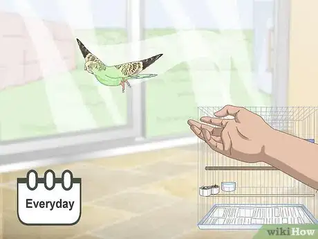 Image titled Own a Parakeet Step 18