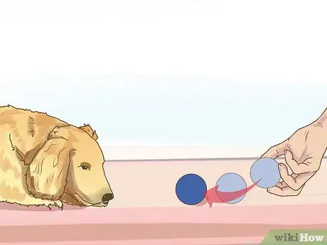 Image titled Evaluate a Dog's Temperament Before Choosing Step 12