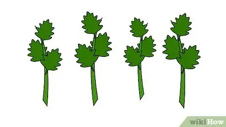 Image titled Grow Patchouli Step 11