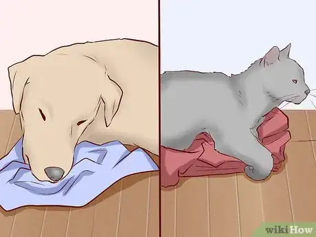 Image titled Introduce Dogs to Cats Step 11