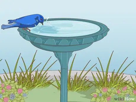 Image titled Attract Eastern Bluebirds Step 8