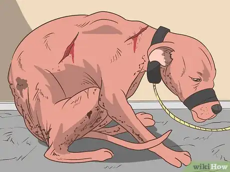 Image titled Help Save Animals from Abuse Step 7