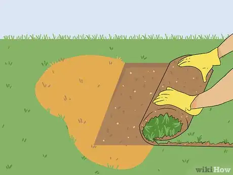 Image titled Bring Back Dead Grass Step 18