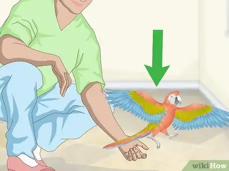Image titled Treat and Prevent Macaw Bites Step 13