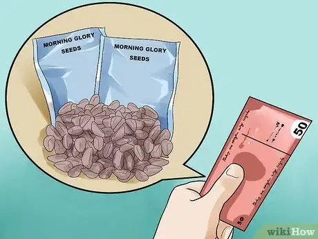 Image titled Grow Morning Glories Step 1