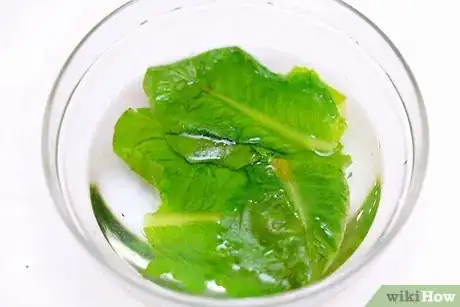 Image titled Use Kale in Sandwiches Step 13