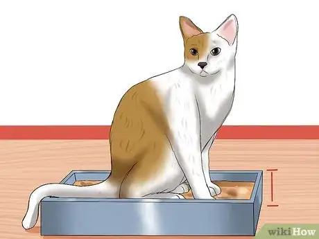 Image titled Resolve Cat Litter Tray Issues Step 2