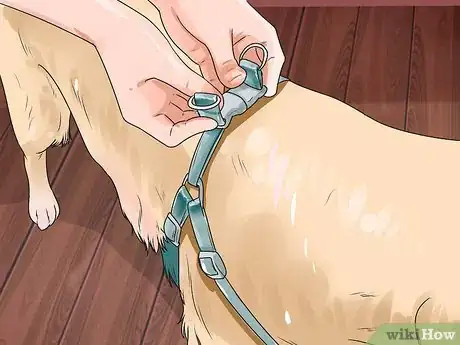 Image titled Brush a Long Haired Dog Step 8