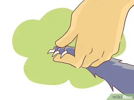 Image titled Bathe a British Shorthair Step 3