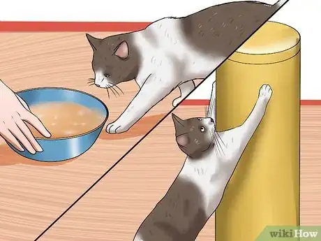 Image titled Resolve Cat Litter Tray Issues Step 6