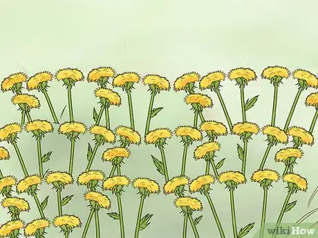 Image titled Plant Wildflowers Step 13