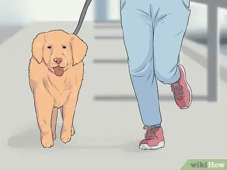 Image titled Make a Pet Love You Step 8