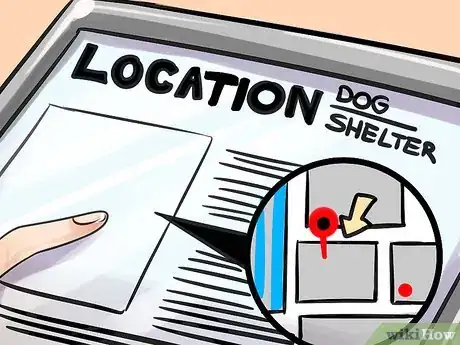 Image titled Adopt a Purebred Dog Step 5