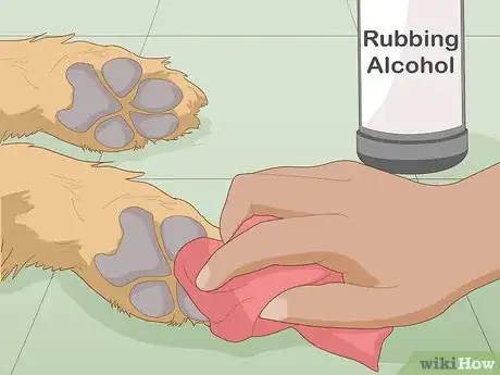 Image titled Keep a Dog Cool in Hot Weather Step 15